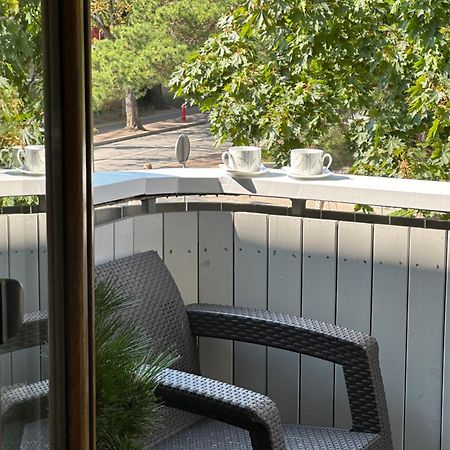 Alintoma Holiday Apartment Паланга Экстерьер фото